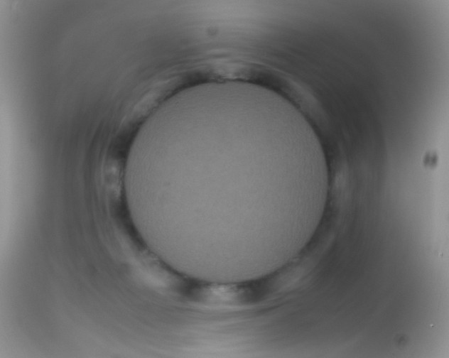 X0000113070121200909182034