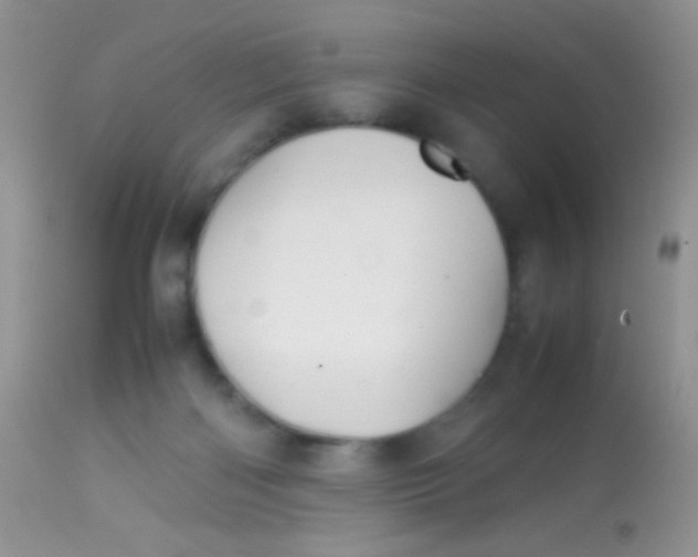 X0000113070122200909182034