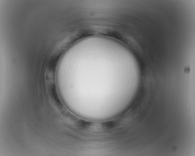 X0000113070123200909182034