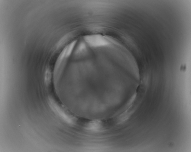 X0000113070124200909182034