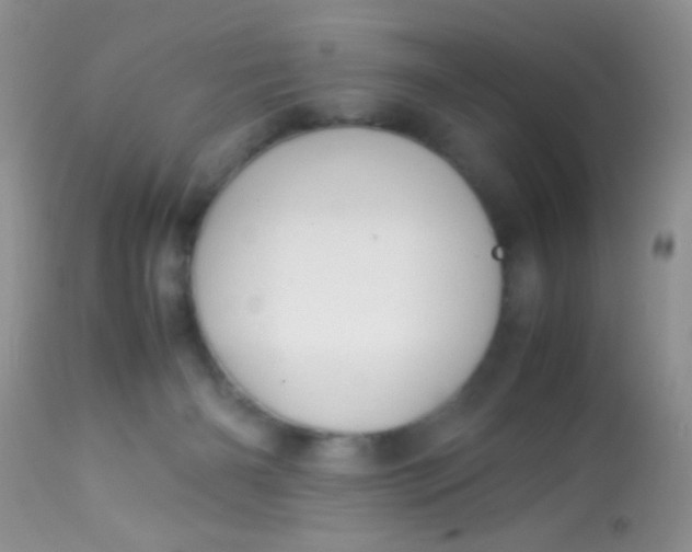 X0000113070126200909182034