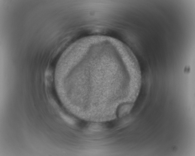 X0000113070127200909182034