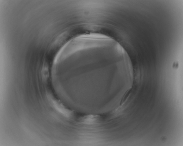 X0000113070128200909182034