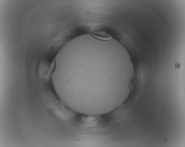 X0000113070129200909182034