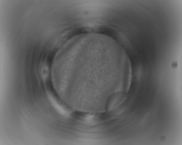 X0000113070130200909182034