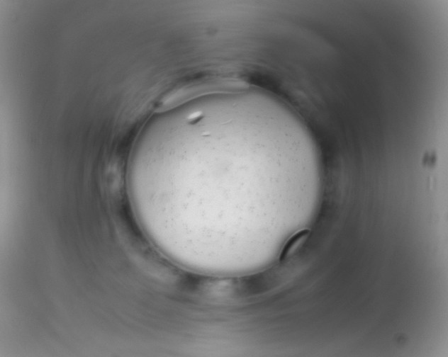 X0000113070131200909182034