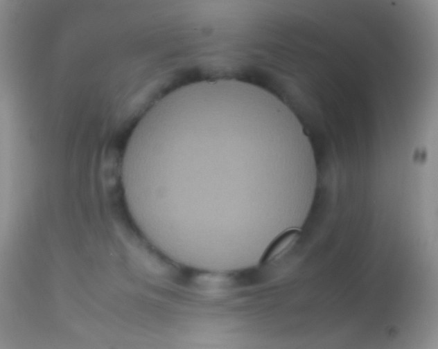 X0000113070133200909182034