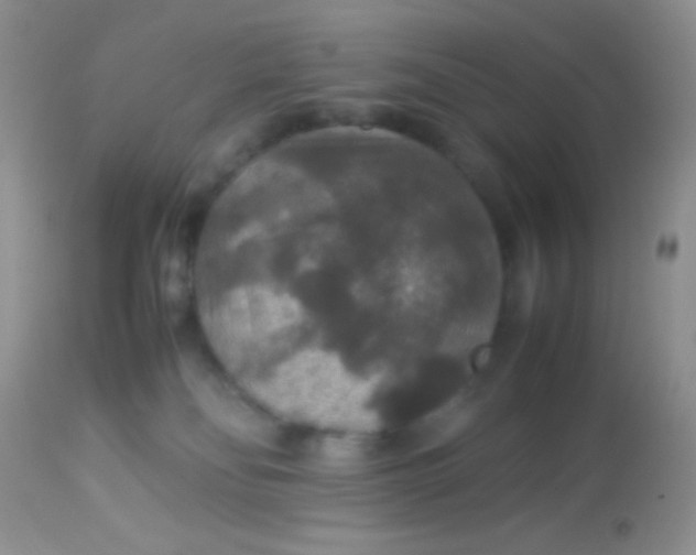 X0000113070134200909182034