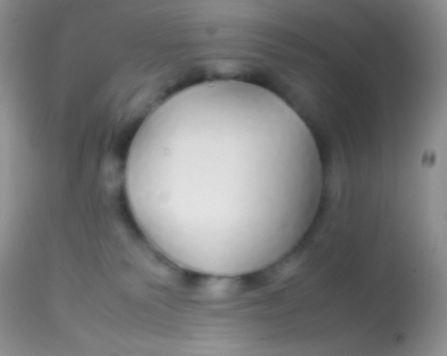 X0000113070135200909182034