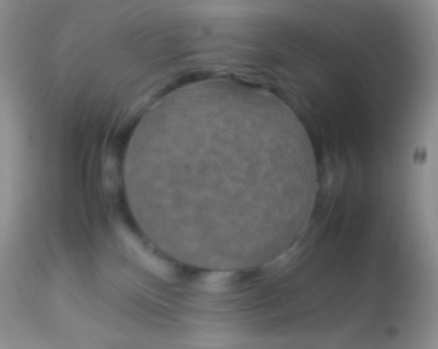 X0000113070136200909182034