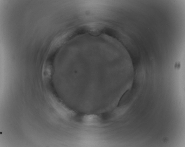 X0000113070137200909182034