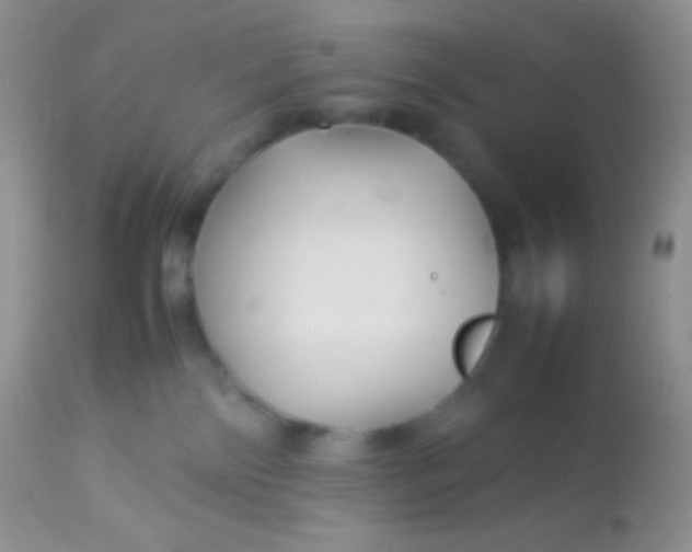 X0000113070138200909182034