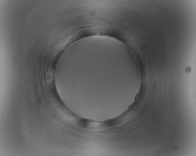 X0000113070139200909182034