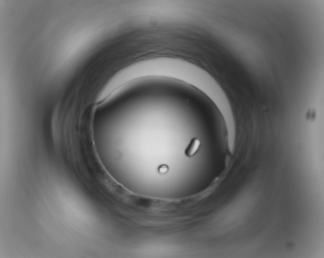 X0000113070140200909182034