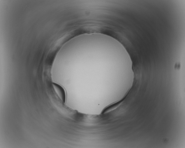 X0000113070141200909182034