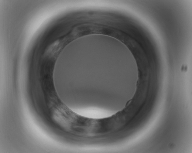 X0000113070143200909182034