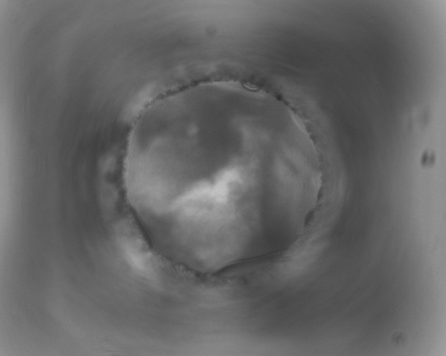 X0000113070144200909182033