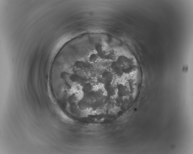 X0000113070145200909182033