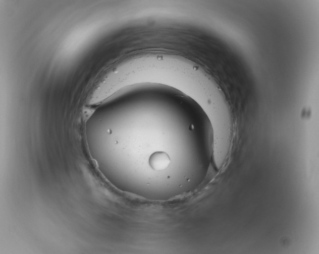 X0000113070146200909182033