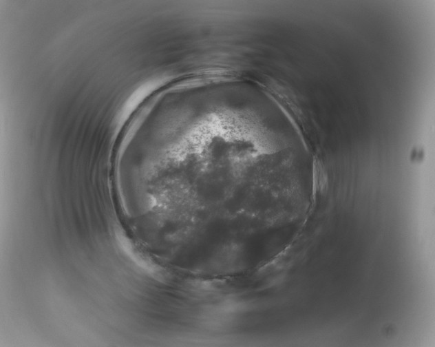 X0000113070147200909182033