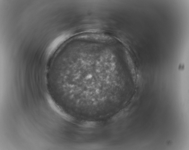 X0000113070149200909182033