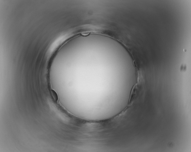 X0000113070150200909182033