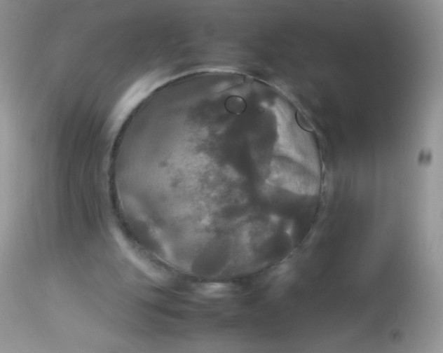 X0000113070151200909182033