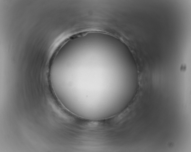 X0000113070152200909182033