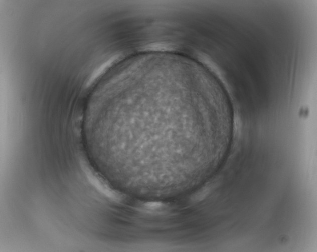 X0000113070153200909182033