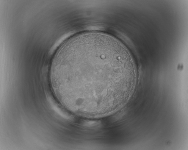 X0000113070155200909182033