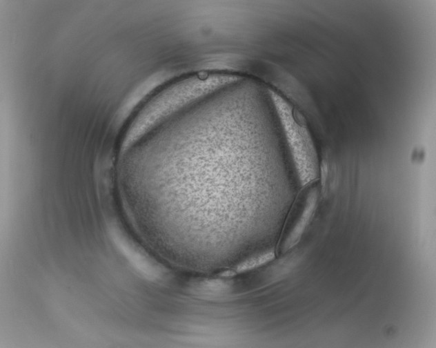 X0000113070156200909182033