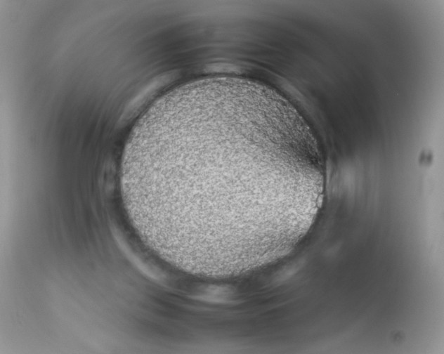 X0000113070157200909182033