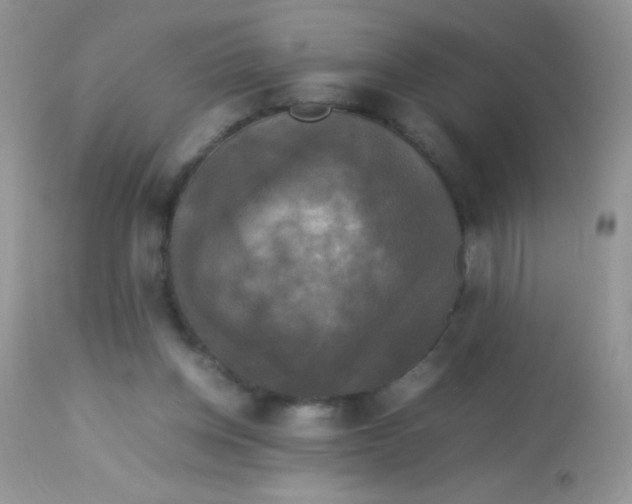 X0000113070158200909182033