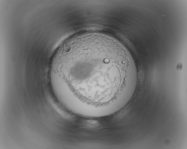 X0000113070159200909182033