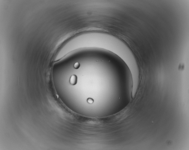 X0000113070160200909182033