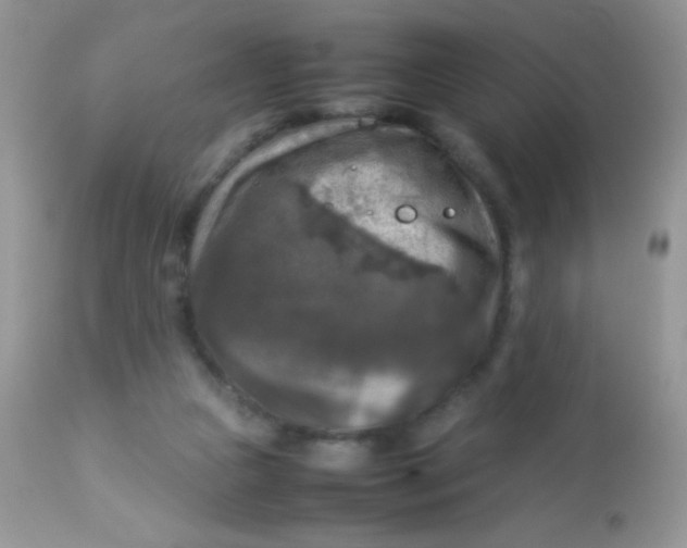 X0000113070161200909182033