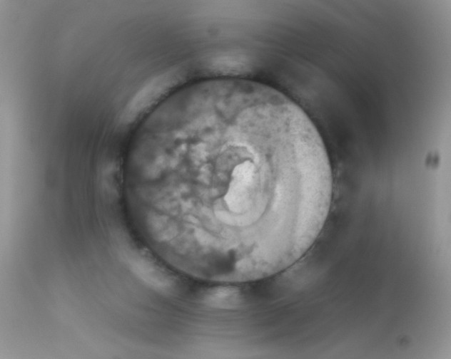 X0000113070162200909182033