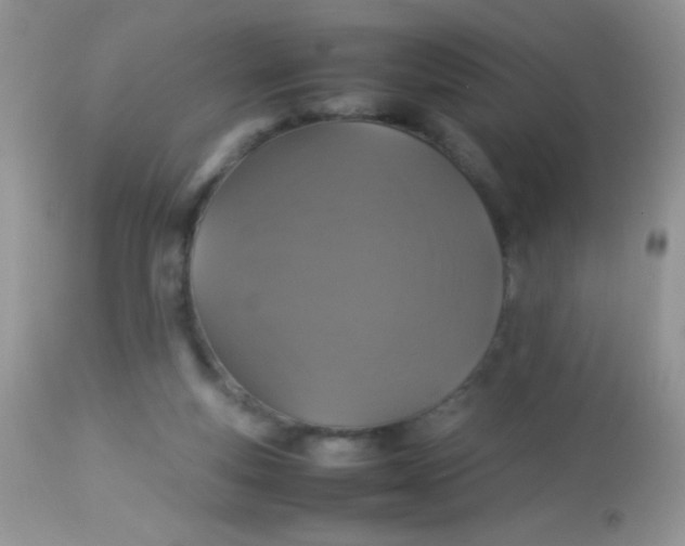 X0000113070163200909182033