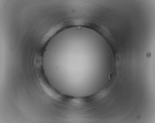 X0000113070164200909182033