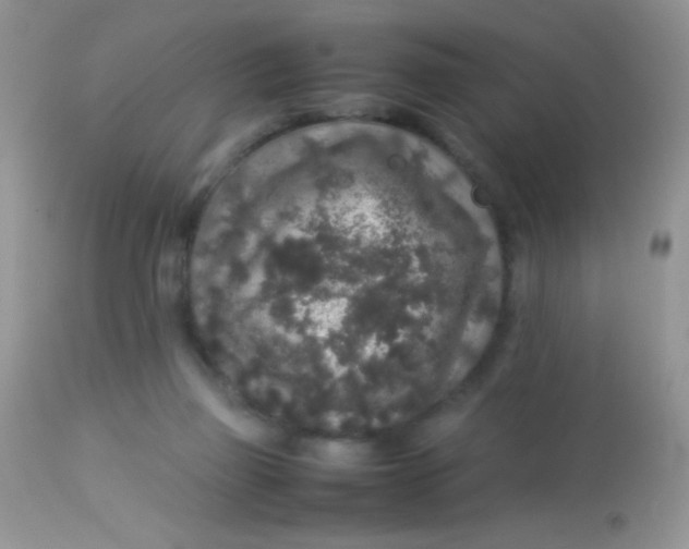 X0000113070165200909182033