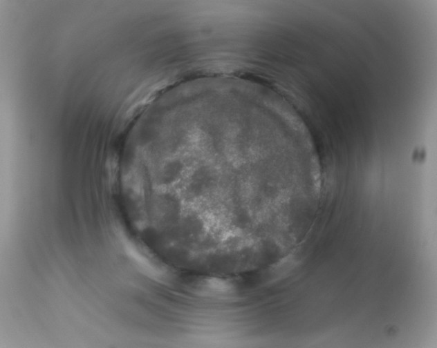 X0000113070166200909182033