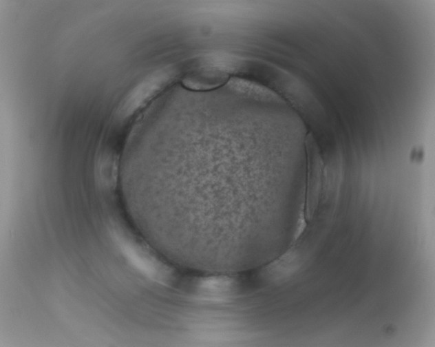 X0000113070168200909182033