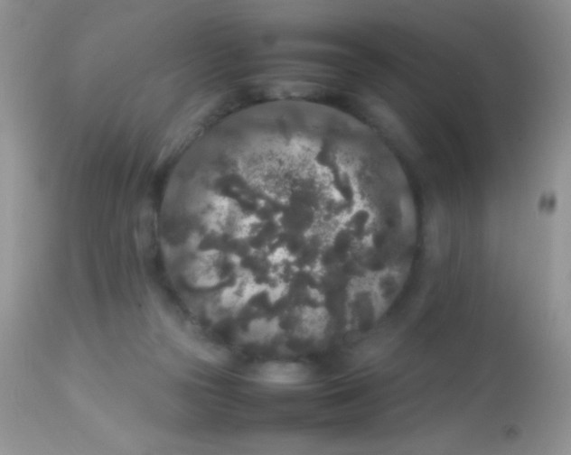 X0000113070169200909182033