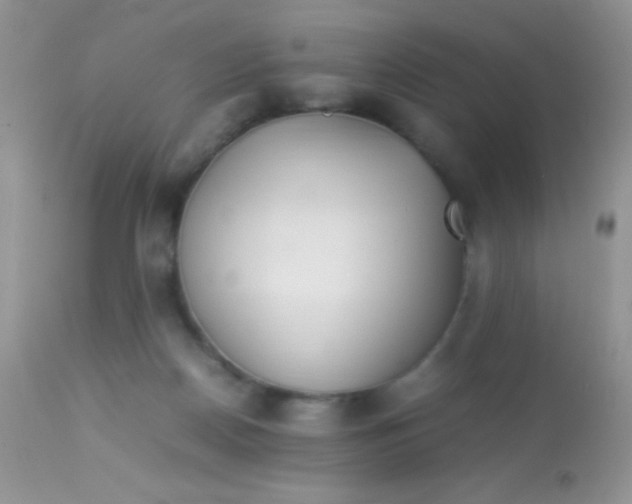 X0000113070170200909182033