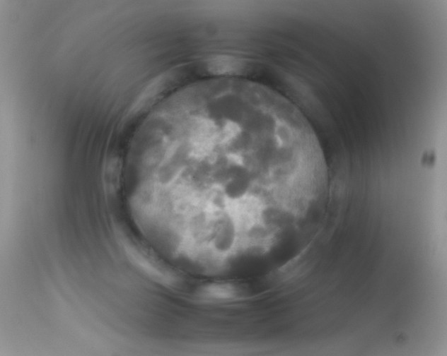 X0000113070171200909182033