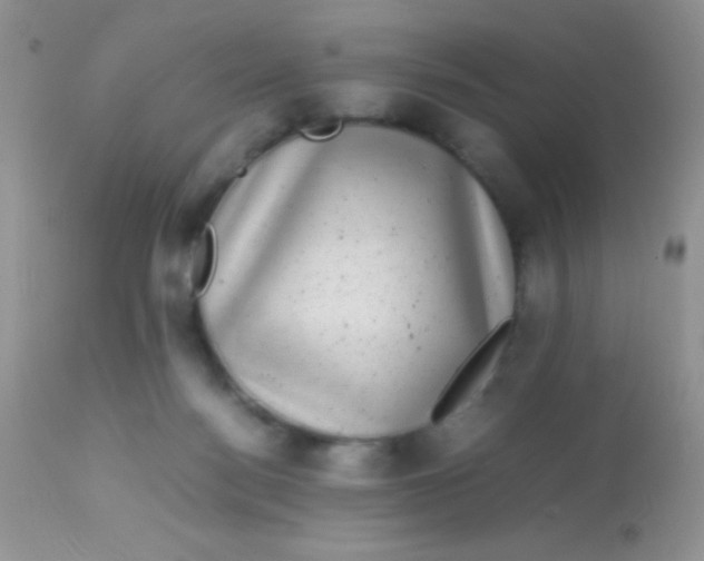 X0000113070172200909182033