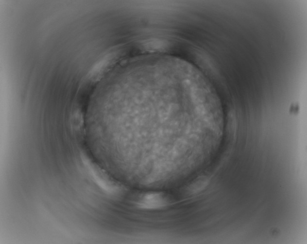 X0000113070173200909182033