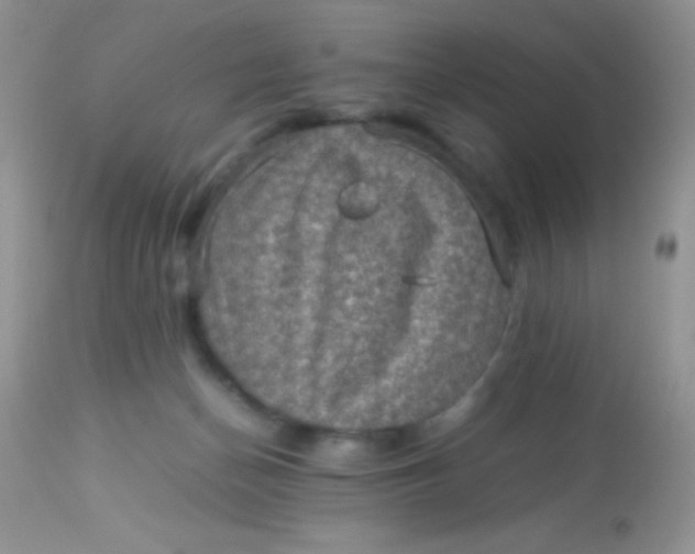 X0000113070174200909182033