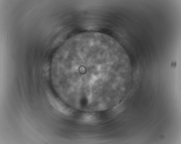 X0000113070175200909182033