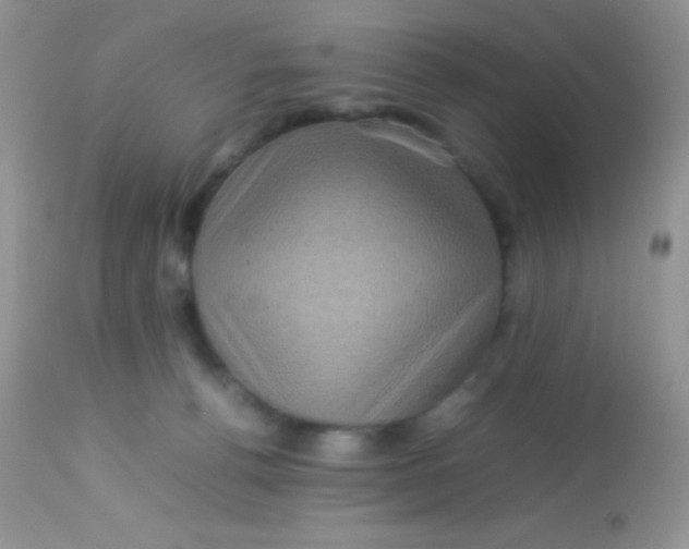 X0000113070176200909182033